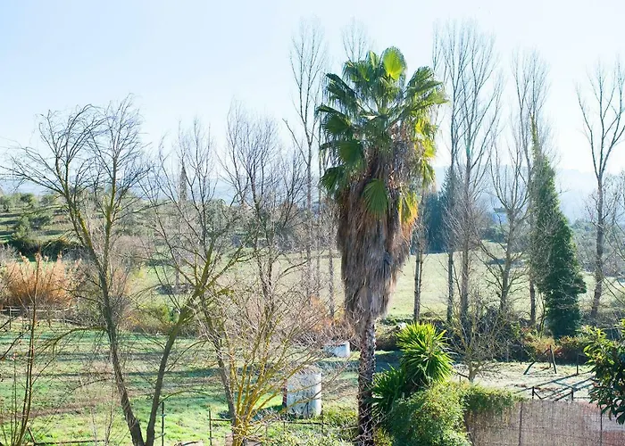 Mi Casita
