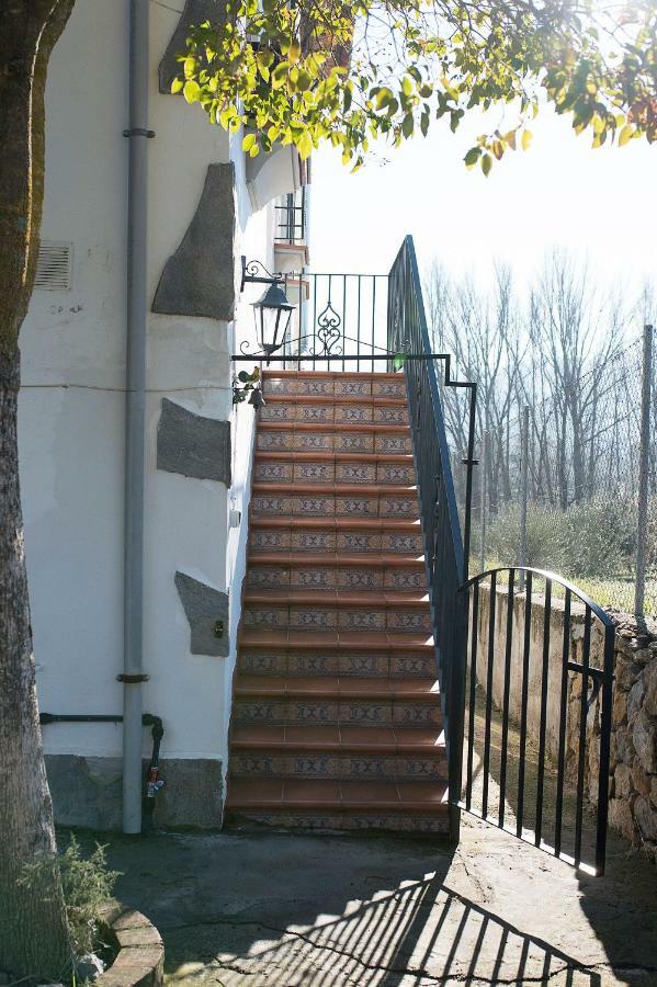 Mi Casita