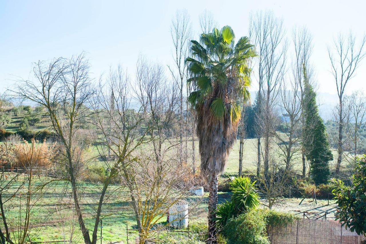 Mi Casita Country house