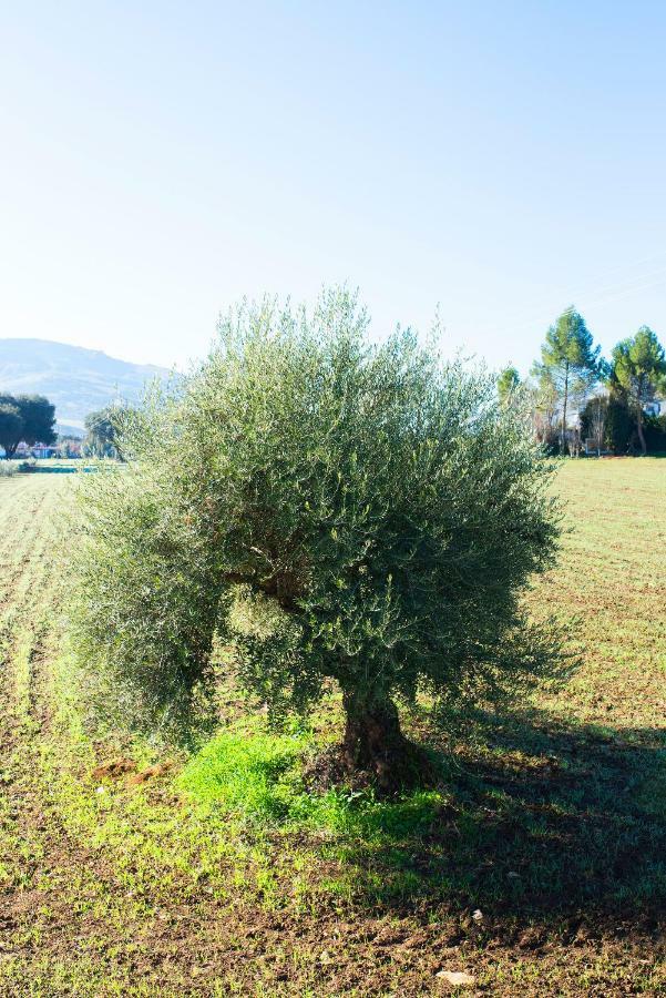 Mi Casita Casa di campagna